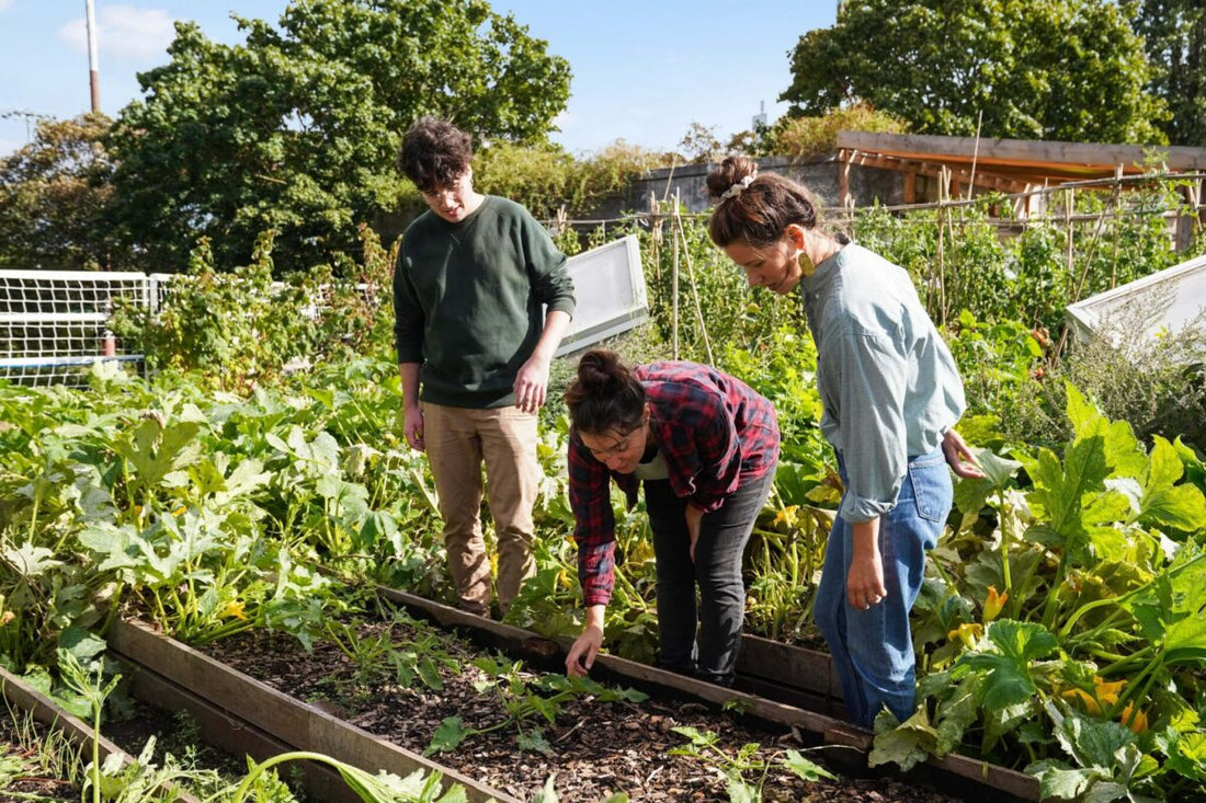 Comment créer un jardin urbain ?