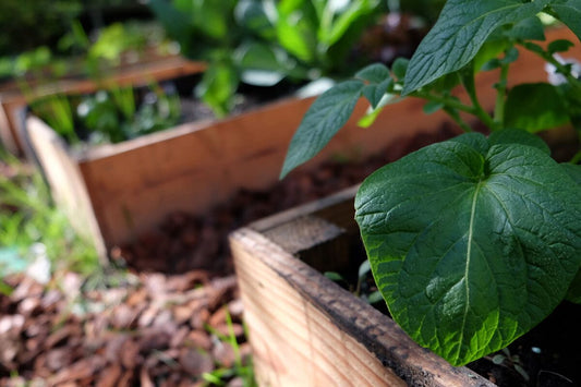 Comment entretenir son jardin au printemps ?