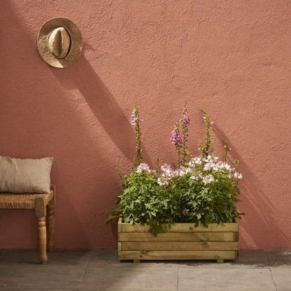 Soline – Natural elegance in the ideal ''gardener'' format 🌿✨