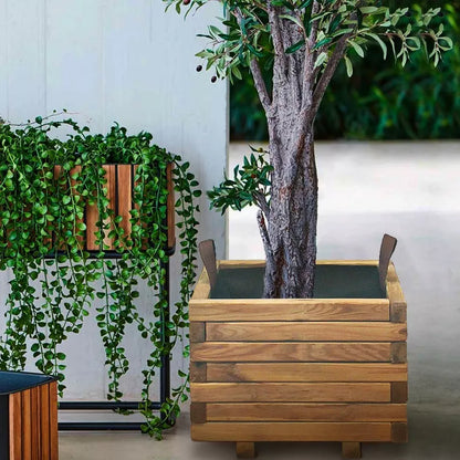 Atlas – The sturdy planter for your trees ''Planter''🌳✨